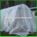 Greenhouse UV Plastics Sheet